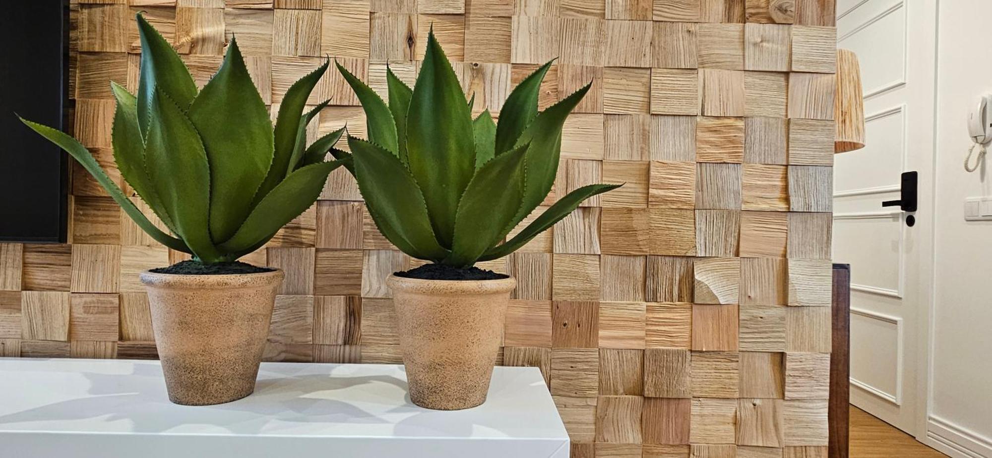 Casa "Avo Chupeta" - Nazare - Alojamento Local エクステリア 写真